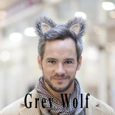 Kritter Klips Painted Latex Masks, Gloves, Feet & Costumes Furry Ears -Natural- Teardrop Style 5 Kritter Klips Painted Latex Masks, Gloves, Feet & Costumes Furry Ears -Natural- Teardrop Style