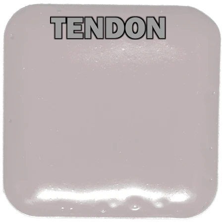 EBA European Body Art EBA Palette Refill Pans - Fits Master Palette Makeup & Tools 12 EBA European Body Art EBA Palette Refill Pans - Fits Master Palette Makeup & Tools