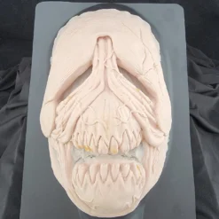 MostlyDead.com Imperfect, Scratch And Dent, Second Quality Imperfect Skin And Veins Face #129