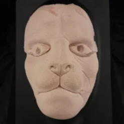 MostlyDead.com Imperfect Lion Or Tiger Foam Latex Prosthetic