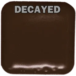 EBA European Body Art EBA Palette Refill Pans - Fits Master Palette Makeup & Tools 145 EBA European Body Art EBA Palette Refill Pans - Fits Master Palette Makeup & Tools