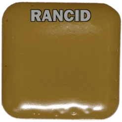 EBA European Body Art EBA Palette Refill Pans - Fits Master Palette Makeup & Tools 151 EBA European Body Art EBA Palette Refill Pans - Fits Master Palette Makeup & Tools