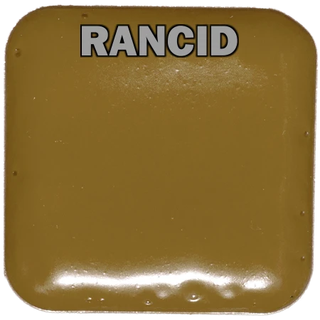 EBA European Body Art EBA Palette Refill Pans - Fits Master Palette Makeup & Tools 66 EBA European Body Art EBA Palette Refill Pans - Fits Master Palette Makeup & Tools