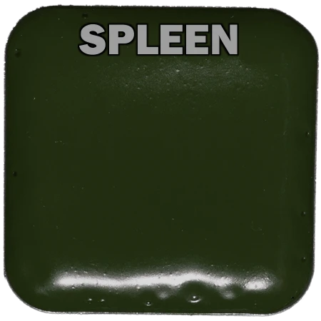 EBA European Body Art EBA Palette Refill Pans - Fits Master Palette Makeup & Tools 71 EBA European Body Art EBA Palette Refill Pans - Fits Master Palette Makeup & Tools