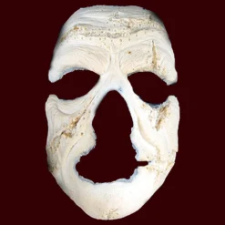 FX Faces Creature - While Supplies Last 7 FX Faces Creature - While Supplies Last