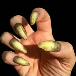 Dental Distortions Creepy Claws - Orlock Fangs,Teeth & Claws