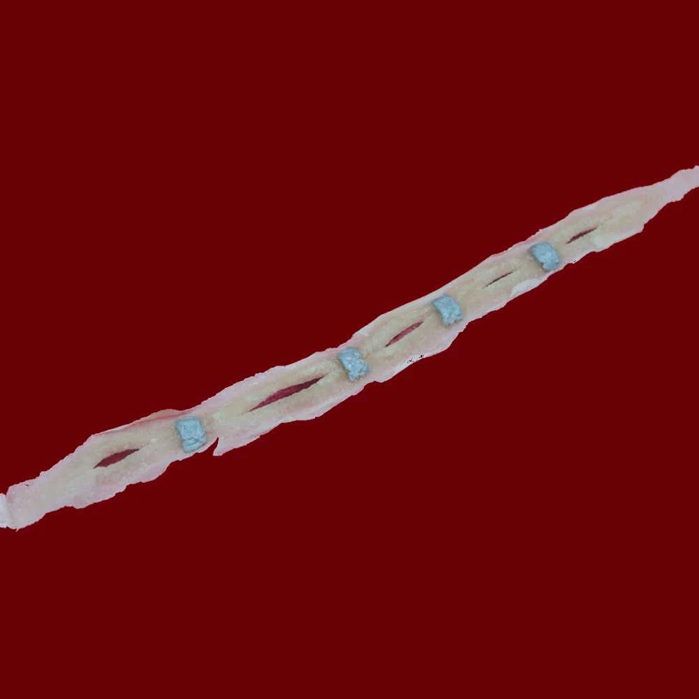 Michael Davy Film & T.V. Makeup Closing Statements Injury FX 4 Michael Davy Film & T.V. Makeup Closing Statements Injury FX