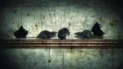 Atmos FX Digital FX DVD: Creepy Crawlies 2 Props And Decorations