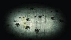 Atmos FX Digital FX DVD: Creepy Crawlies 2 Props And Decorations