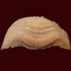 MostlyDead.com Imperfect Demon Furled Brow Forehead Prosthetic Imperfect, Scratch And Dent, Second Quality