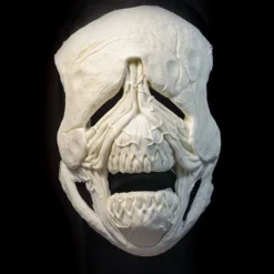 Woochie By Cinema Secrets Foam Latex Masks Skin And Veins Face #129