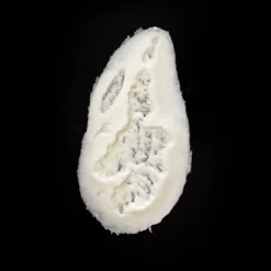 Woochie By Cinema Secrets Random Scar/wound Foam Prosthetic #165 Foam Latex Masks