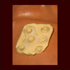 Rubber Wear Warts Moles Pimples Small FX Character Appliances