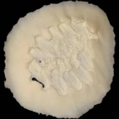 Rubber Wear Injury FX Bite Mark 2