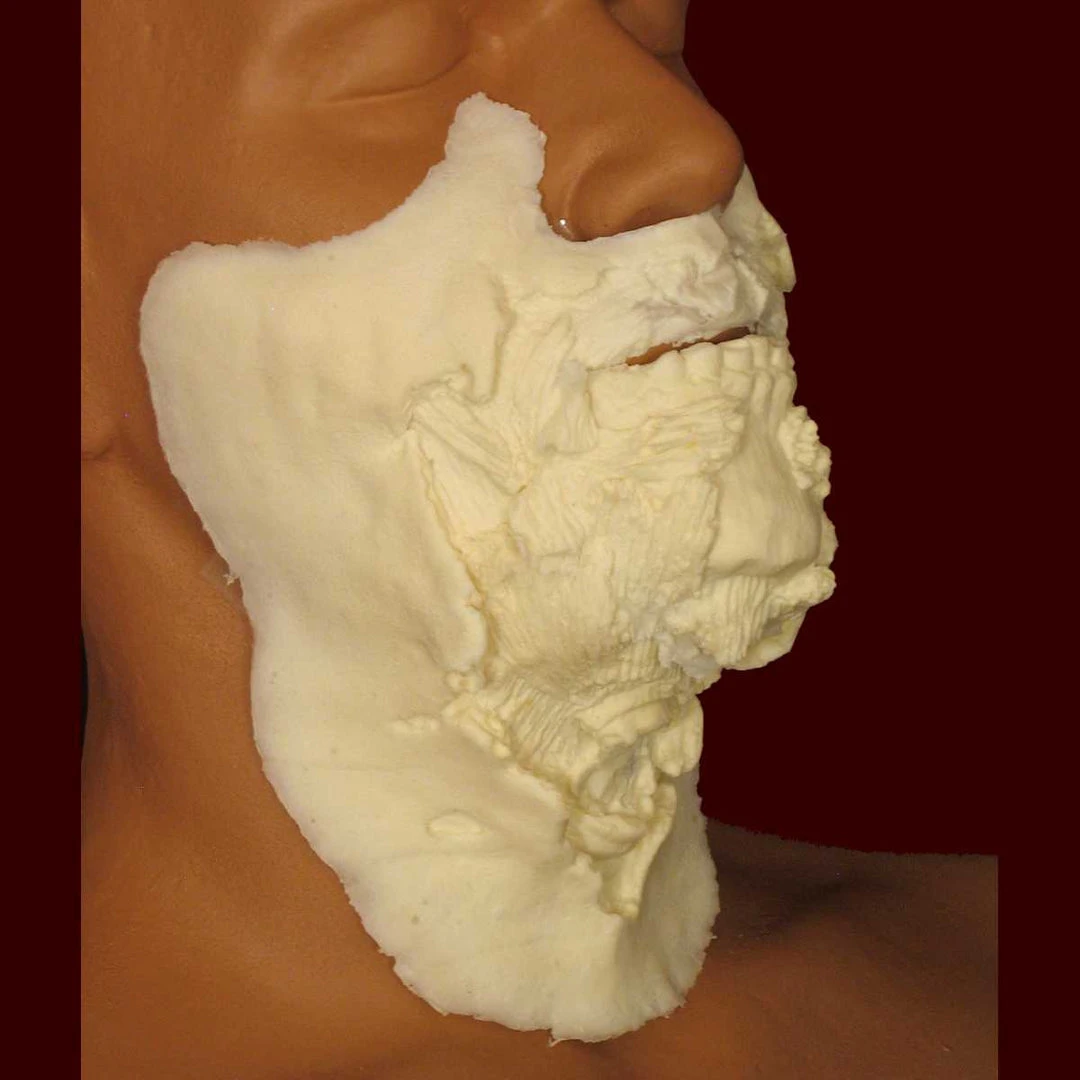 Rubber Wear Small FX Character Appliances Zombie Mouth #2 Large 3 Rubber Wear Small FX Character Appliances Zombie Mouth #2 Large