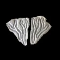 Rubber Wear Hand Veins (pair) Small FX Character Appliances