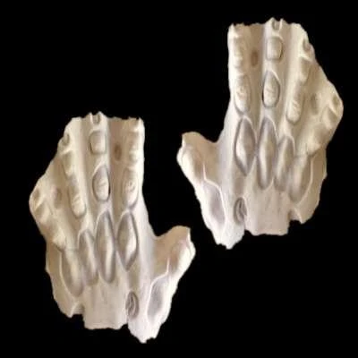 Rubber Wear Small FX Character Appliances Arthritic Knuckles (pair) 4 Rubber Wear Small FX Character Appliances Arthritic Knuckles (pair)