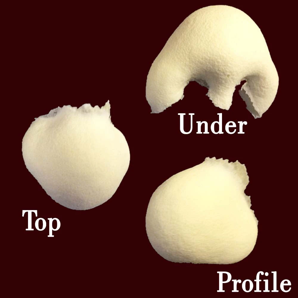 Makeup And Creative Arts Fiona Nose 3 Makeup And Creative Arts Fiona Nose