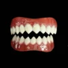 Dental Distortions Grell Teeth Fangs,Teeth & Claws