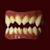 Dental Distortions Fangs,Teeth & Claws Grimm Teeth
