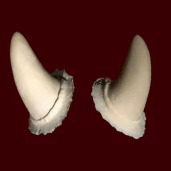 Horns By Infected FX Small FX Character Appliances