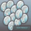 Graftobian Makeup Company Hot Wingz Sencils