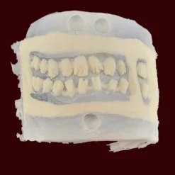 MostlyDead.com Imperfect Hungry Zombie Foam Latex Prosthetic