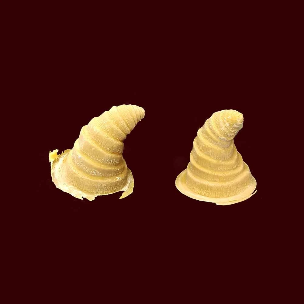 MostlyDead.com Imperfect Demon / Devil Foam Latex Prosthetic Discounted Items 5 MostlyDead.com Imperfect Demon / Devil Foam Latex Prosthetic Discounted Items