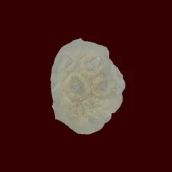 Michael Davy Film & T.V. Makeup Lesions Aired (skin Damage/trauma)