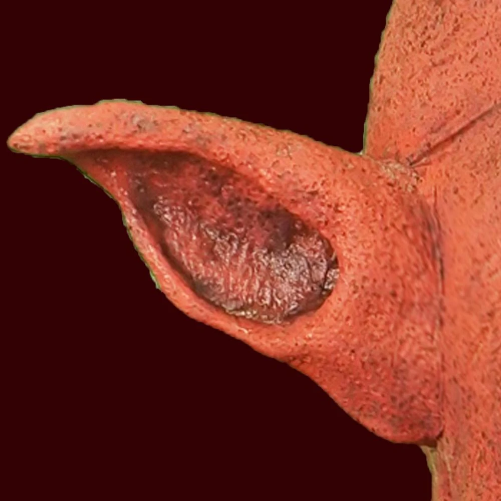 FX Faces Monster Ears 4 FX Faces Monster Ears