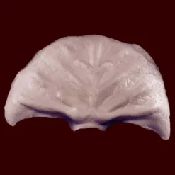 Stage Frights Foam Latex Masks Martian Forehead Prosthetic