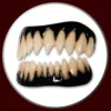 Dental Distortions Fangs,Teeth & Claws Black Gum Pennywise Teeth