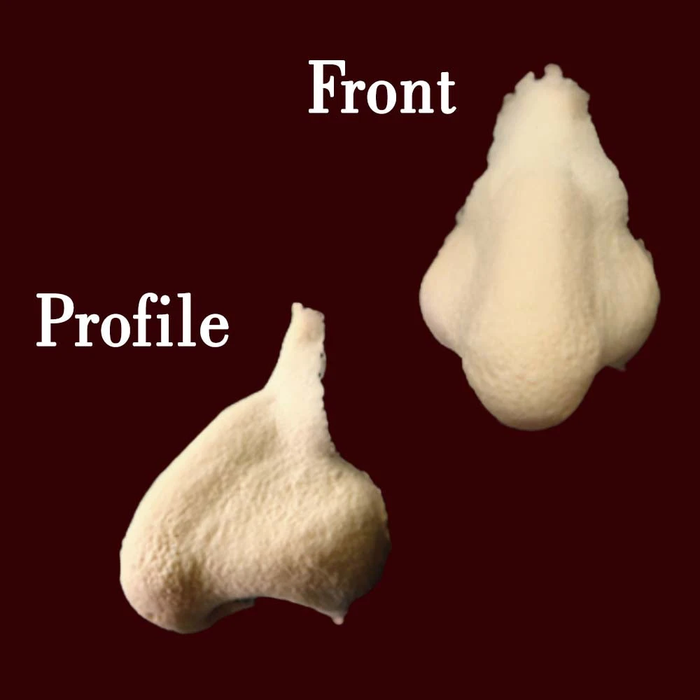 Makeup And Creative Arts Pirate Witch Hag Nose Small FX Character Appliances 5 Makeup And Creative Arts Pirate Witch Hag Nose Small FX Character Appliances