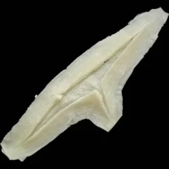 Michael Davy Film & T.V. Makeup Shanked- Large Cut Appliance