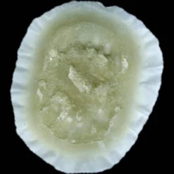 Michael Davy Film & T.V. Makeup Injury FX Soul Food (Bite Wound)