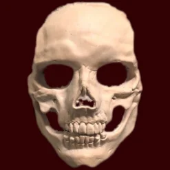 Skull By Infected FX