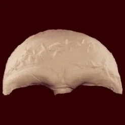 Stage Frights Foam Latex Masks Stitched Forehead Prosthetic