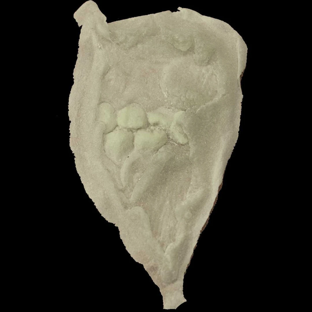 Michael Davy Film & T.V. Makeup Injury FX Tweek Ur Cheek Exposed Teeth Appliance 4 Michael Davy Film & T.V. Makeup Injury FX Tweek Ur Cheek Exposed Teeth Appliance