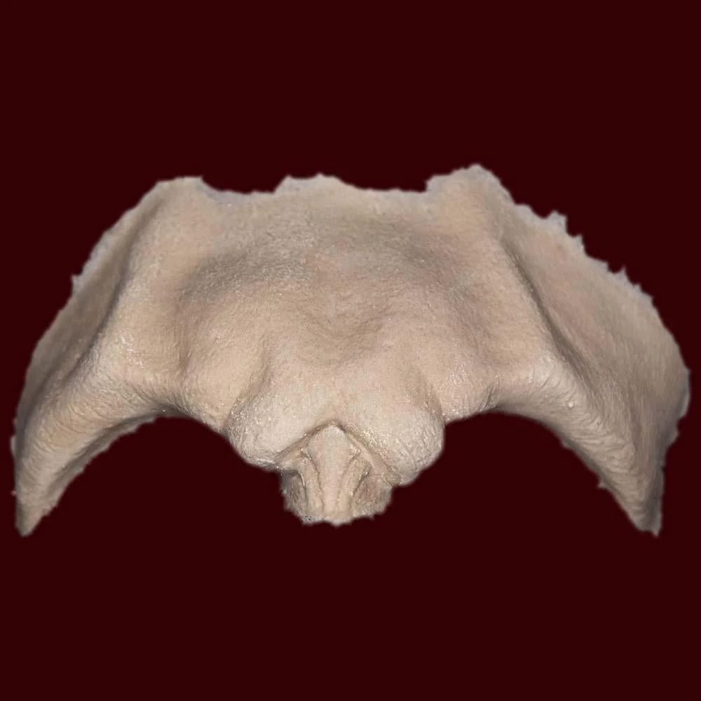 Vampire Brow By Infected FX 5 Vampire Brow By Infected FX