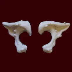 FX Faces Small FX Character Appliances Warty Ears