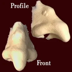 Makeup And Creative Arts Gnarled Witch Nose Small FX Character Appliances