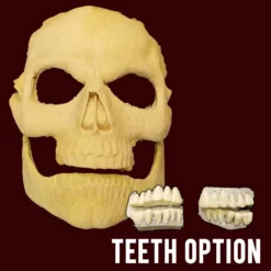 MostlyDead.com Imperfect Skull Foam Latex Prosthetic