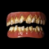 Dental Distortions Kreeper Zombie Teeth Fangs,Teeth & Claws 2 Dental Distortions Kreeper Zombie Teeth Fangs,Teeth & Claws
