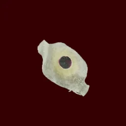 Michael Davy Film & T.V. Makeup Lead Poison (bullet Holes)