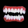 Dental Distortions Fangs,Teeth & Claws Lucius Costume Vampire Teeth