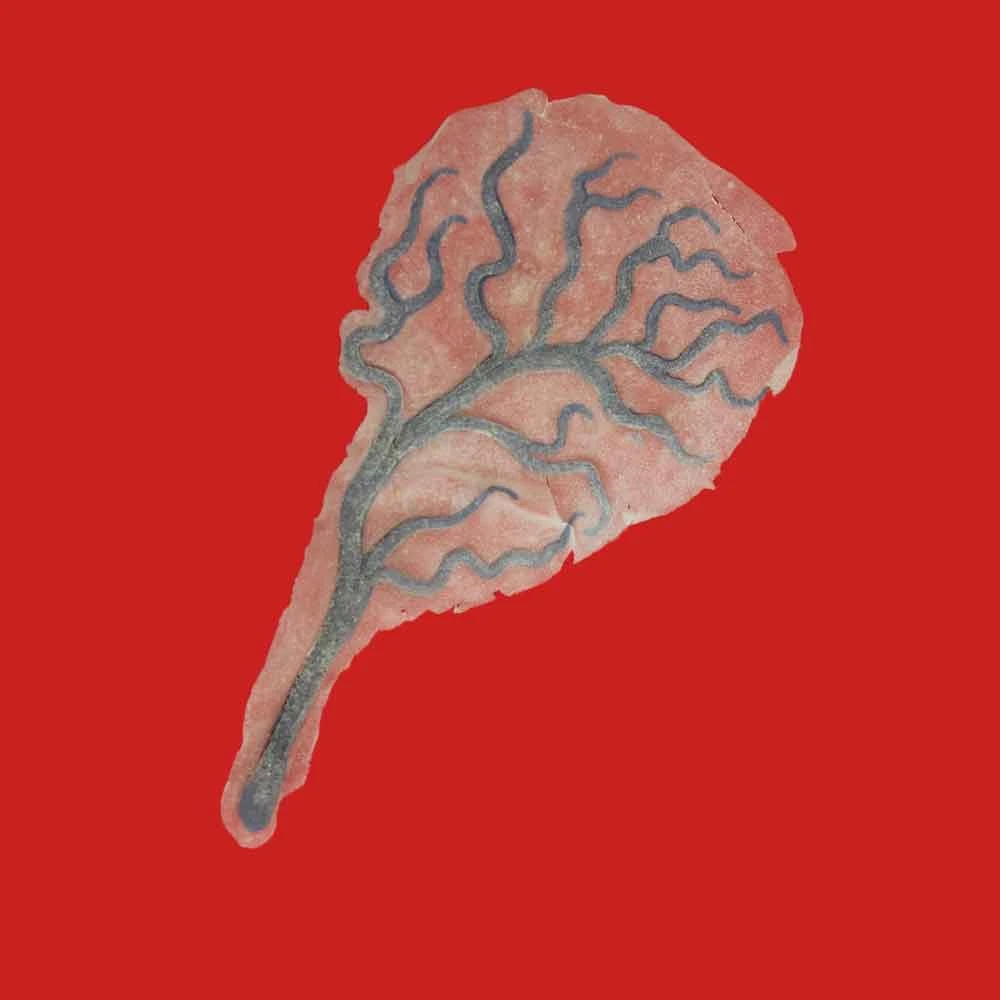 Michael Davy Film & T.V. Makeup You Re So Vein (bulging Veins) Injury FX 4 Michael Davy Film & T.V. Makeup You Re So Vein (bulging Veins) Injury FX